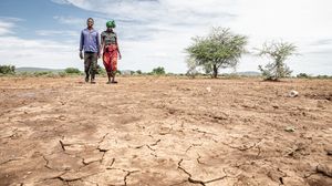 Folgen des Klimawandels in Simbabwe: Kuda Gudyanga und seine Frau NoMatter sind als Kleinbauern von großen Verlusten bei der Ernte und dem Viehbestand bedroht.